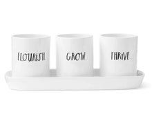 Load image into Gallery viewer, Pottery - Three Bulb Planter Set with Tray