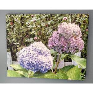 ART -Summer Hydrangea Flower Canvas Photo Print