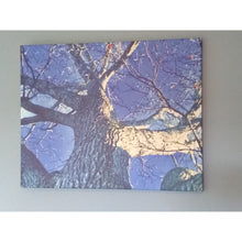 Load image into Gallery viewer, ART -BLUE Sky Canvas Print