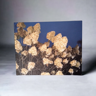 ART -Autumn Hydrangea canvas print