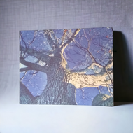 ART -BLUE Sky Canvas Print