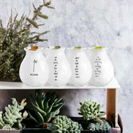 Pottery - Bloom Vases