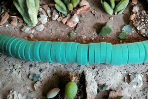 Balance Bracelets - Believe Acheive  bracelets