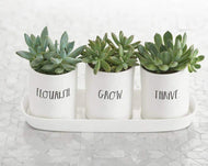 Pottery - Three Bulb Planter Set with Tray